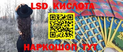 крисы Кандалакша