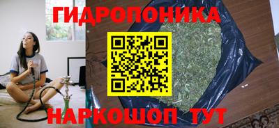 jwh Канаш