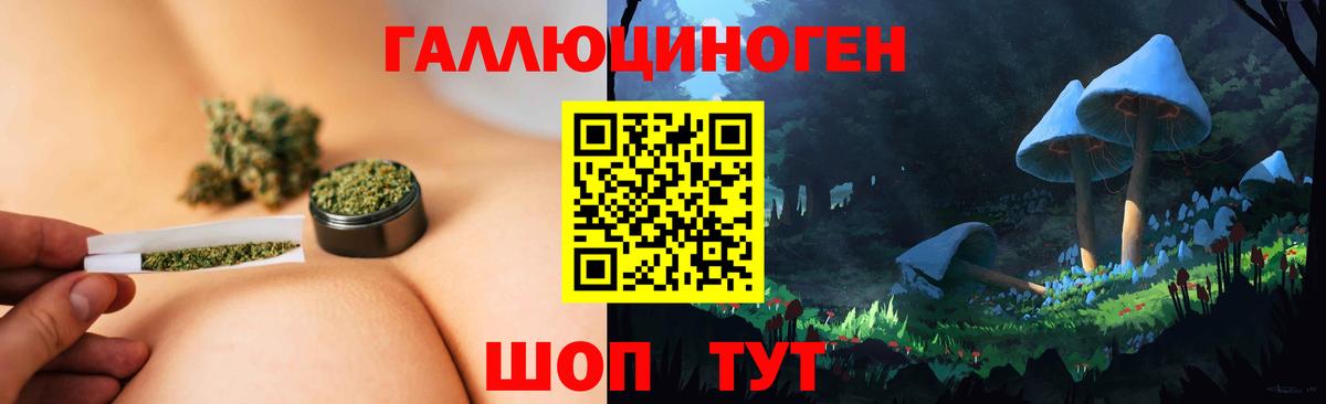 Галлюциногенные грибы Psilocybine cubensis  Вход с VPN  Галлюциногенные грибы мухоморы  Сафоново 